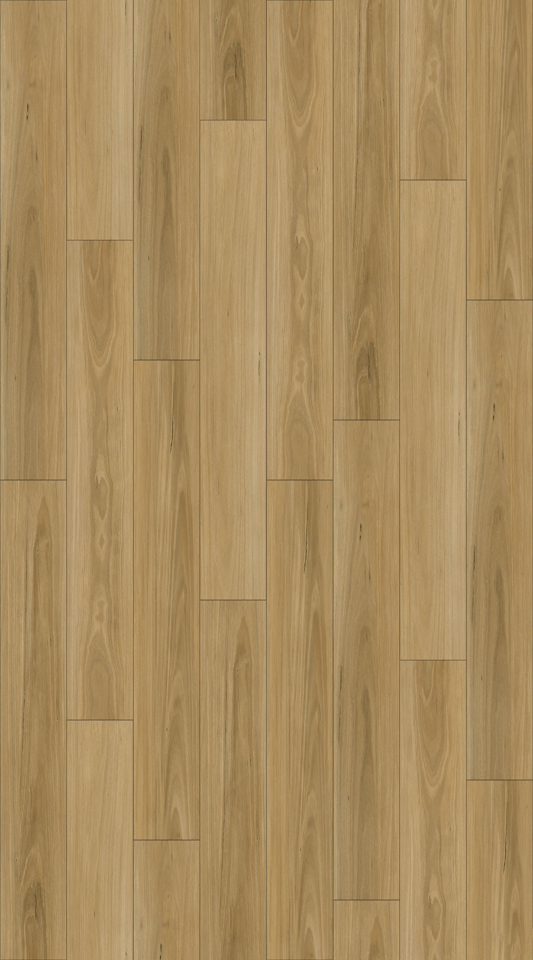 NIK117901_Clean_Maple_TD