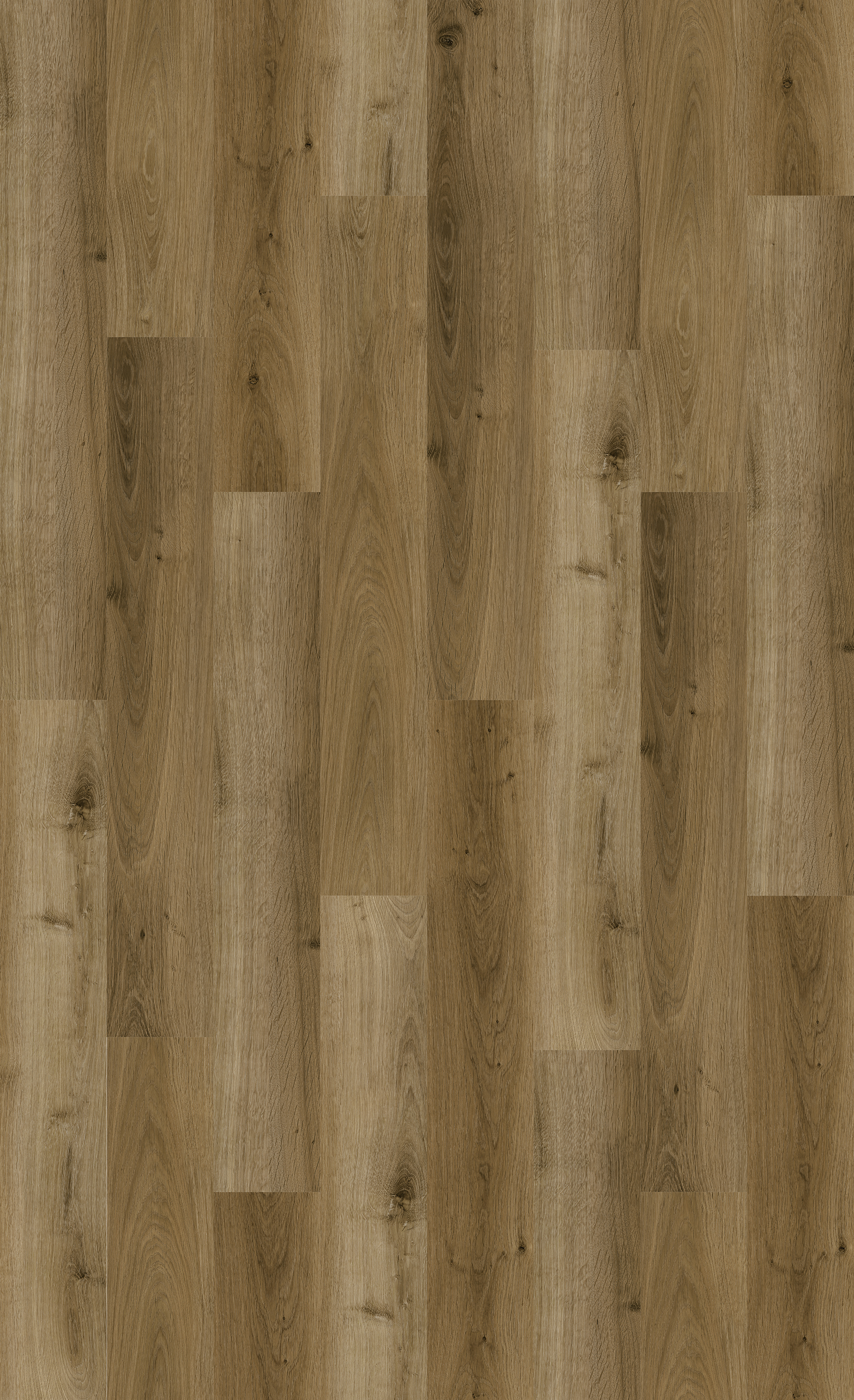 NIK15254_Chateau_Hickory_TD