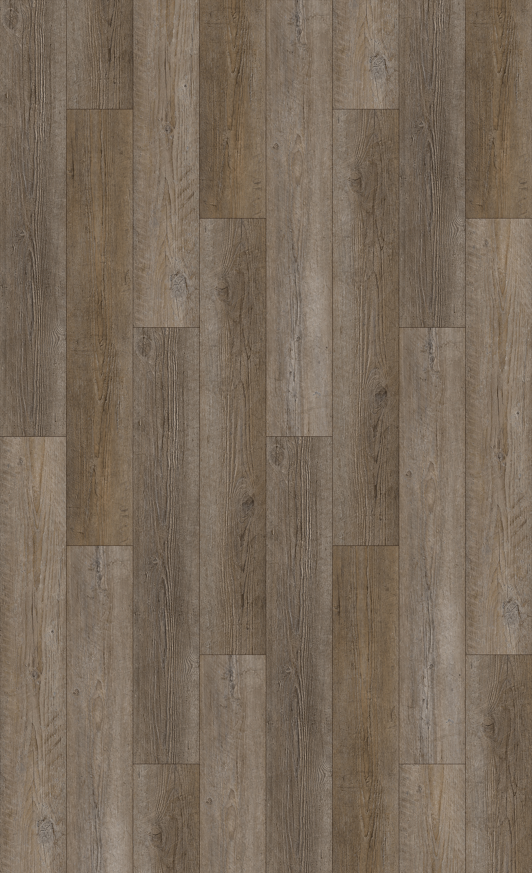 NIK154291_Coastline_TD