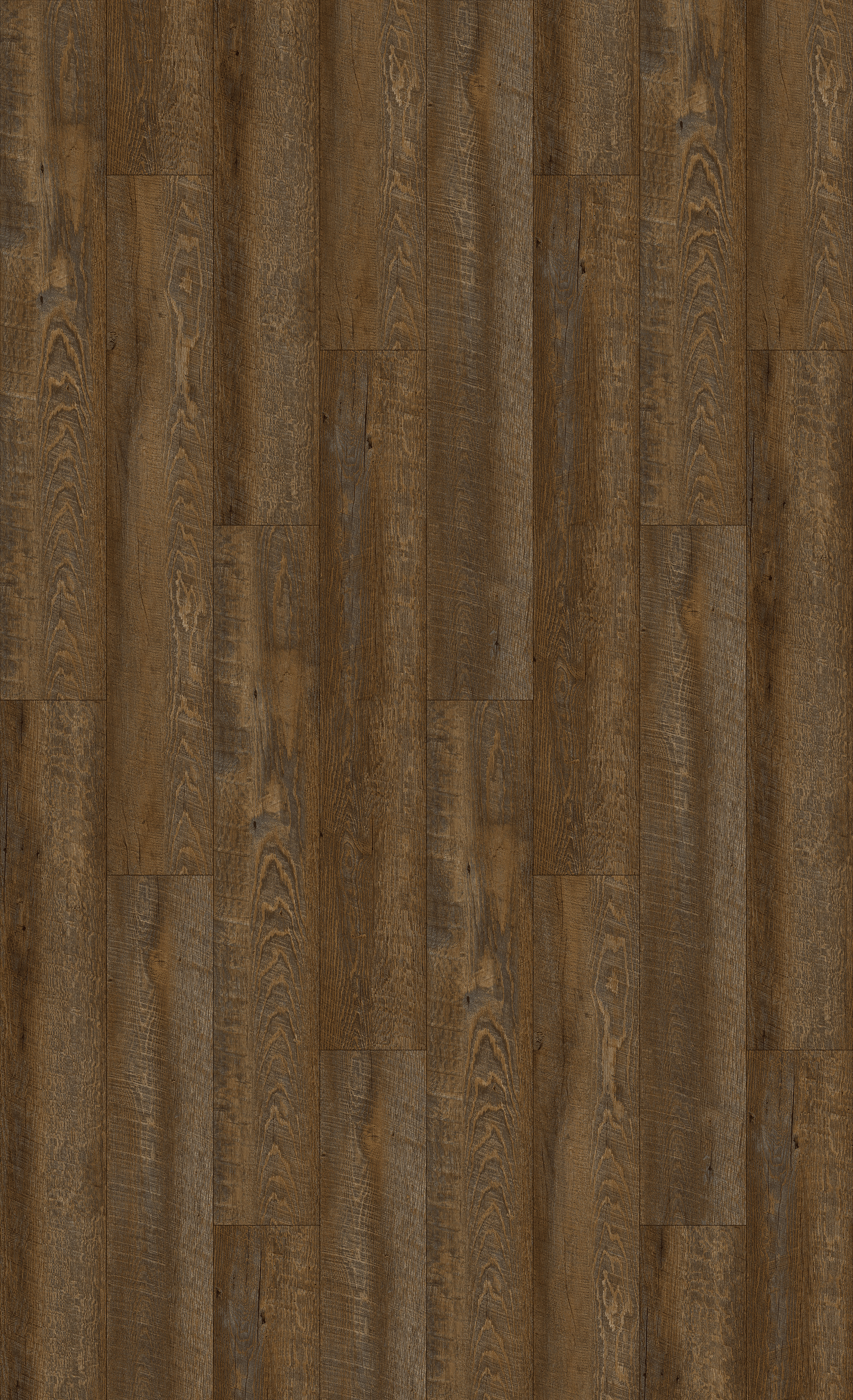 NIK6468_Mountain_Tavern_Oak_TD