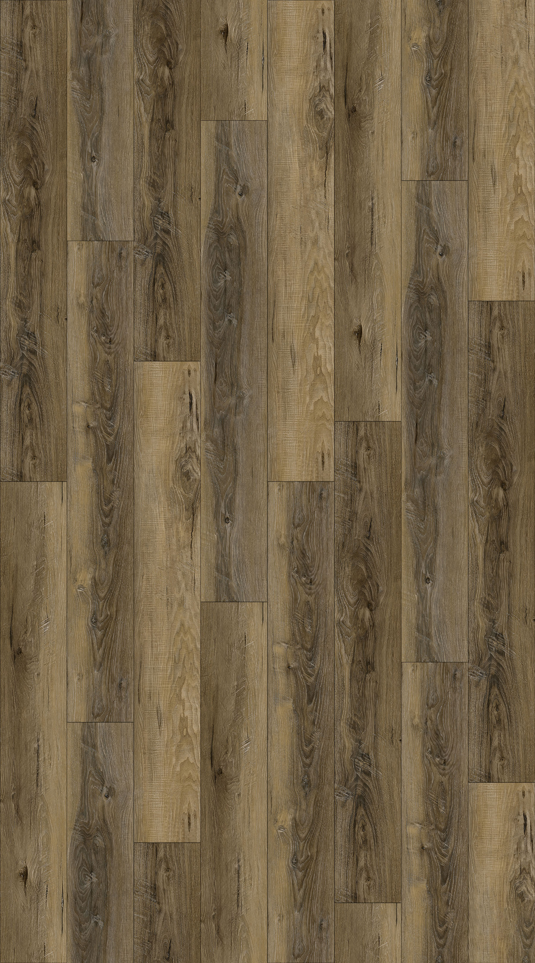 NIK6535_Rocky_Mountain_TD