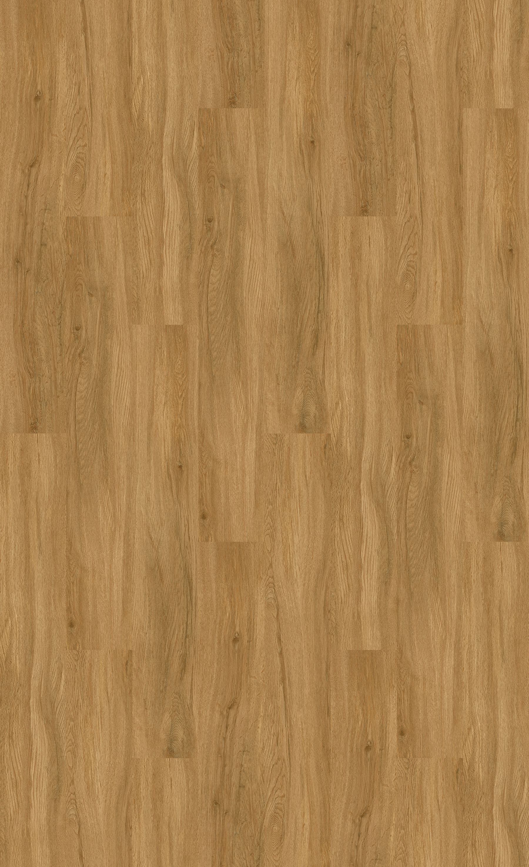 NIK8970_Golden_Butterscotch_TD