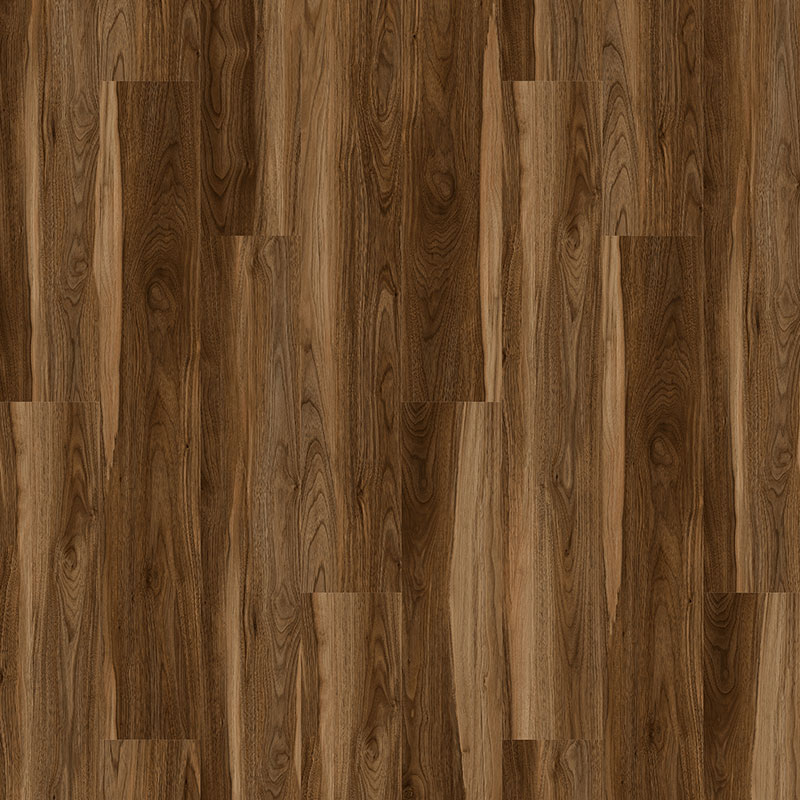 NIK8818_Acacia_SQ