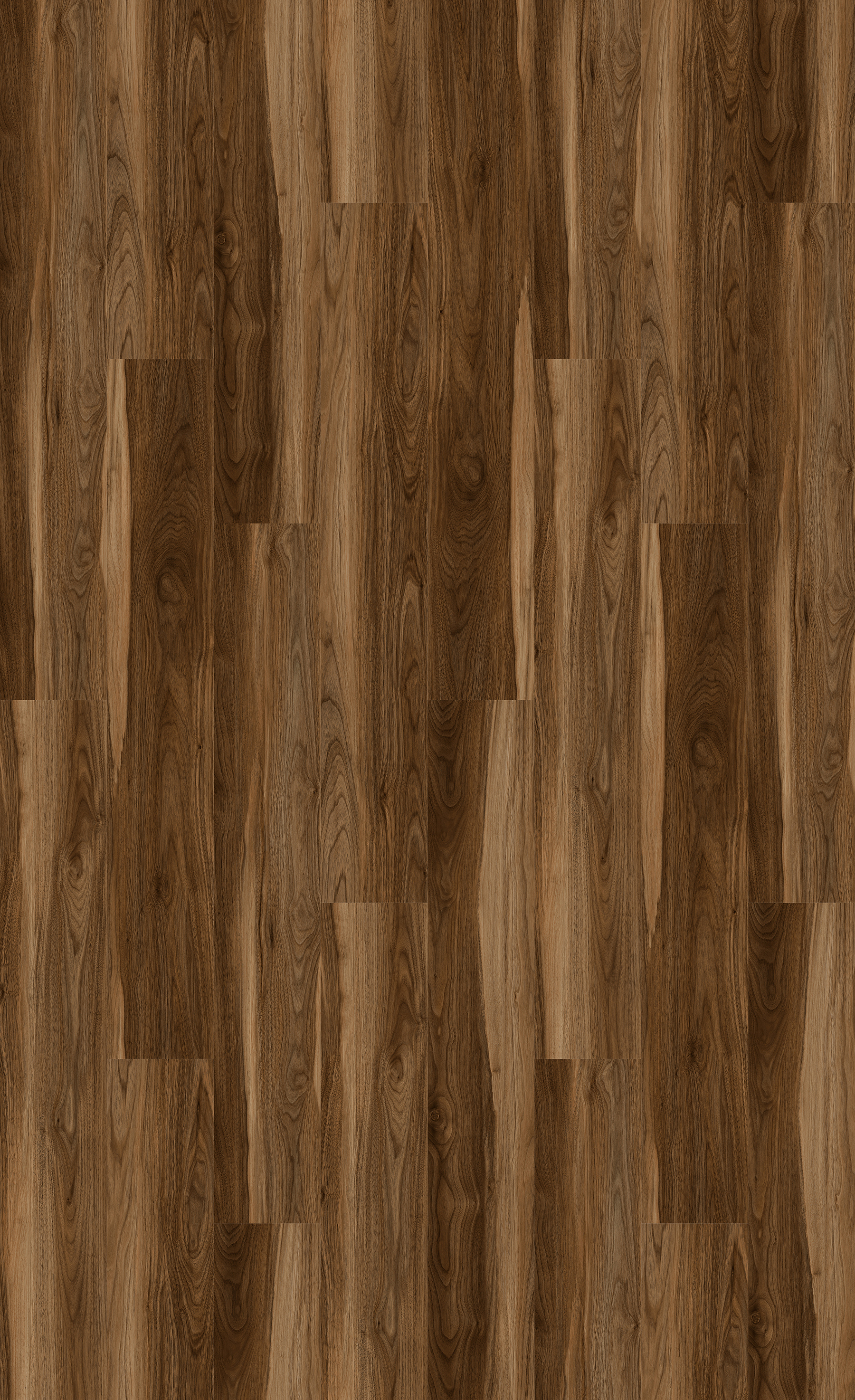 NIK8818_Acacia_TD